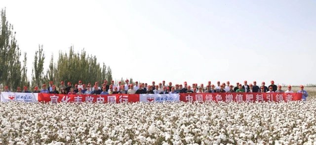 宜化豐收中國行！新疆棉花大型測產(chǎn)觀摩會成功舉行(圖1)